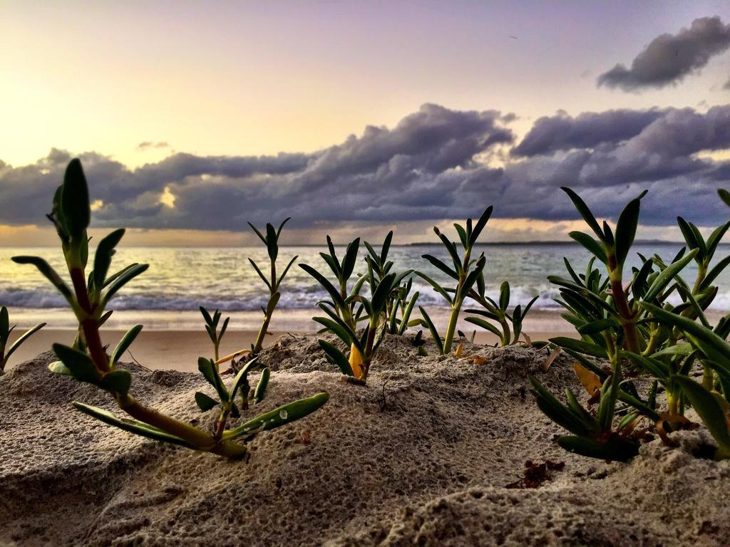 Stradbroke Island Beach Hotel Point Lookout Luaran gambar